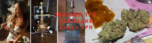 гидра Богородск