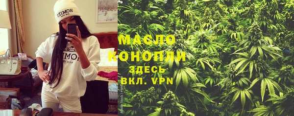гидра Богородск