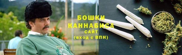 гидра Богородск