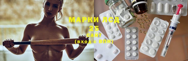 гидра Богородск