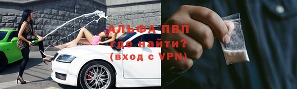 гидра Богородск