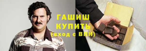 гидра Богородск