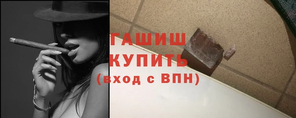 гидра Богородск