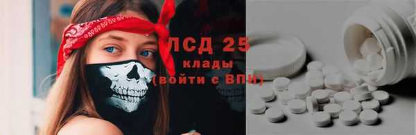 гидра Богородск