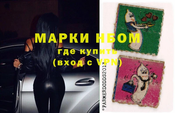 гидра Богородск